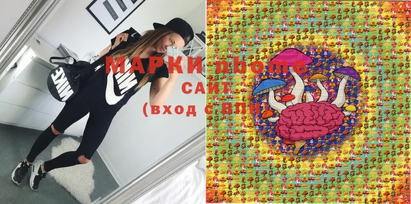 ПСИЛОЦИБИНОВЫЕ ГРИБЫ Пересвет