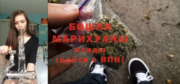 ALPHA-PVP Покров