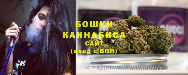 ПСИЛОЦИБИНОВЫЕ ГРИБЫ Пересвет