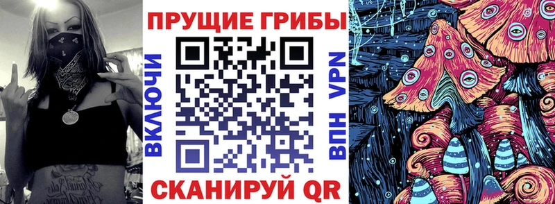 нарко площадка клад  Сельцо  Псилоцибиновые грибы Cubensis  сколько стоит  kraken ТОР 